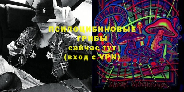 индика Дмитровск