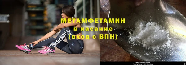 индика Дмитровск