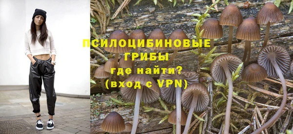марки lsd Дмитриев