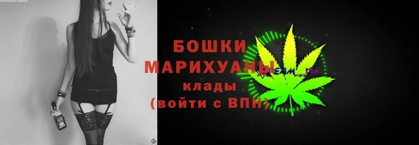 индика Дмитровск