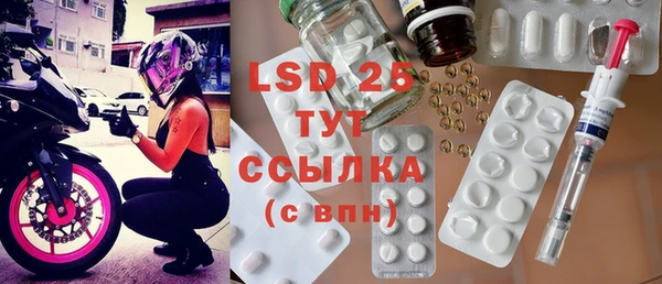 индика Дмитровск