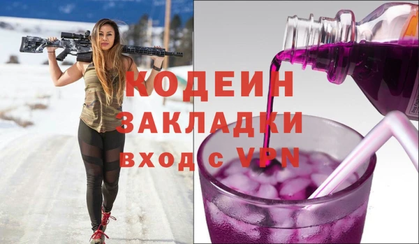 индика Дмитровск