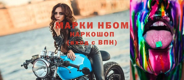 индика Дмитровск