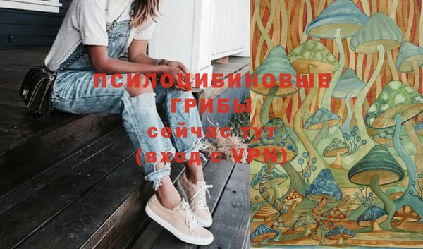 винт Дмитров